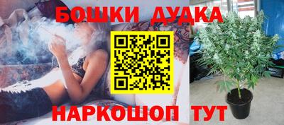 каннабис Кандалакша
