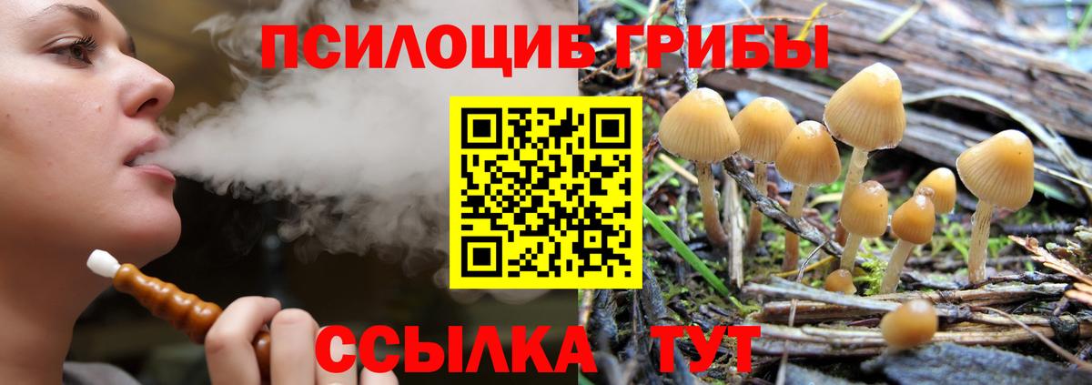 Галлюциногенные грибы мухоморы  Вход с VPN  Зима  Псилоцибиновые грибы прущие грибы 